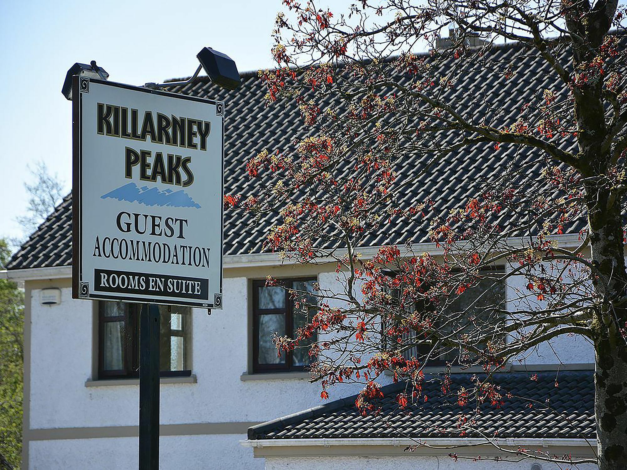 Killarney Peaks Guesthouse Екстер'єр фото
